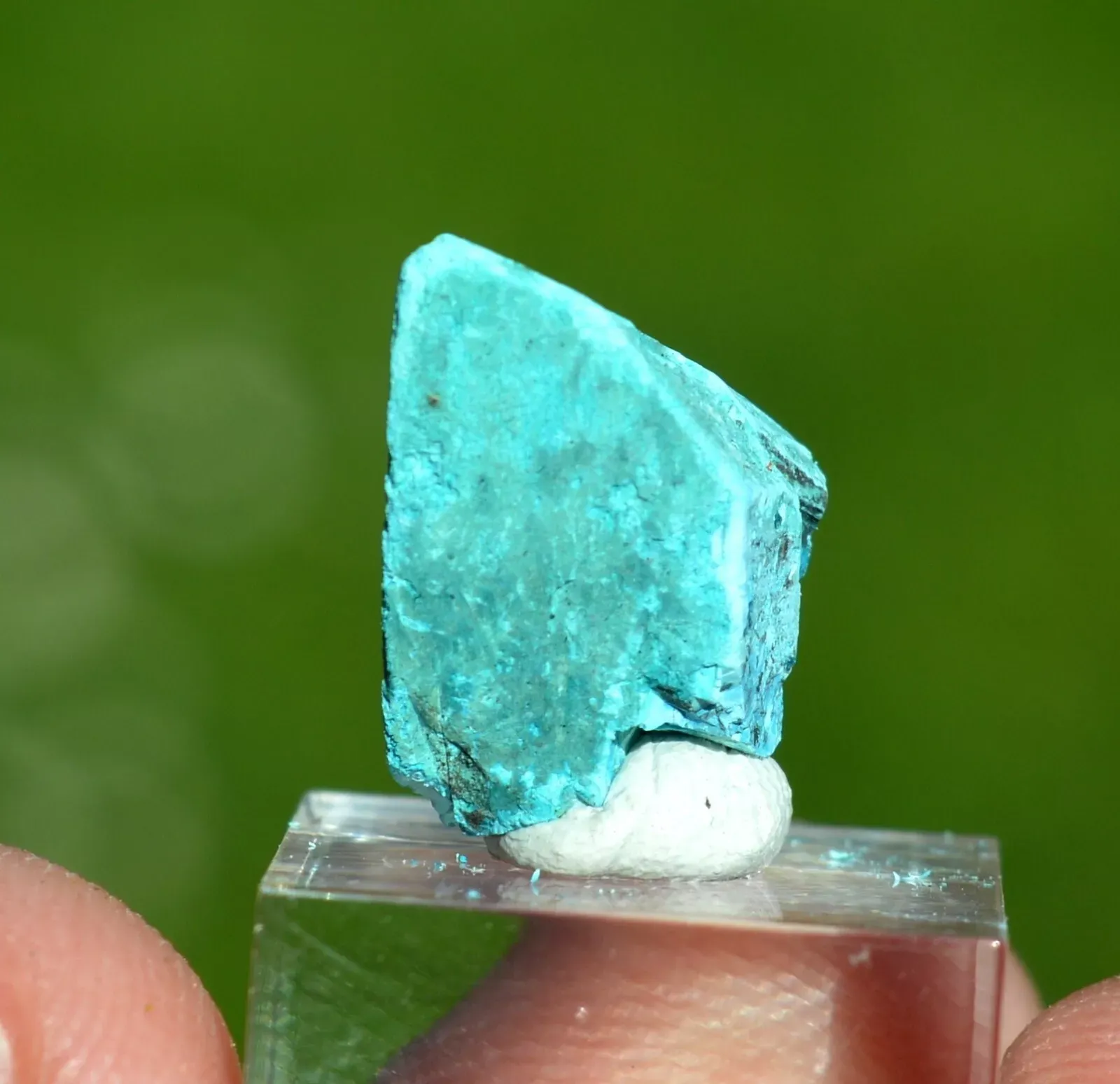 Chalcanthite 2 grams - Flambeau Mine, Ladysmith, Rusk County, Wisconsin, USA - image 4