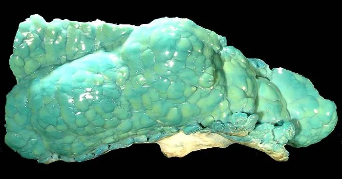 Chalcanthite, Aragonite image