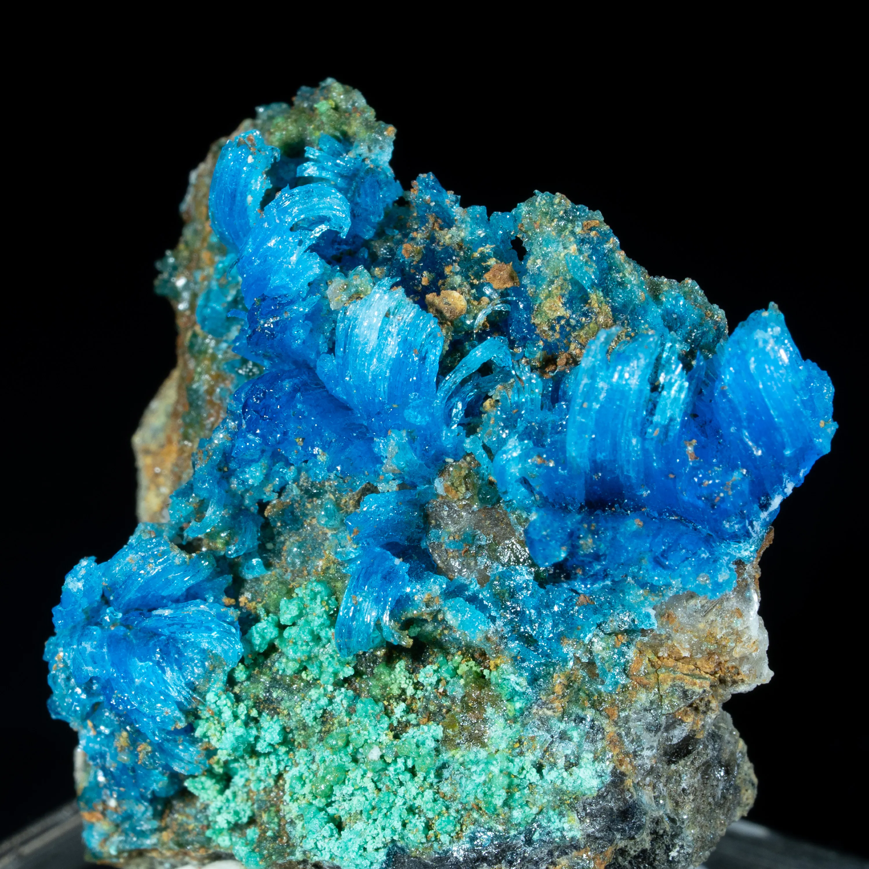 Chalcanthite from Greece, Attica, Christiana Mine - image 2