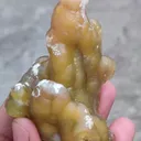 specimen video