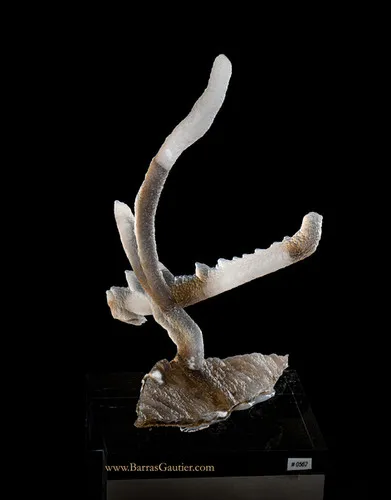 Chalcedony image