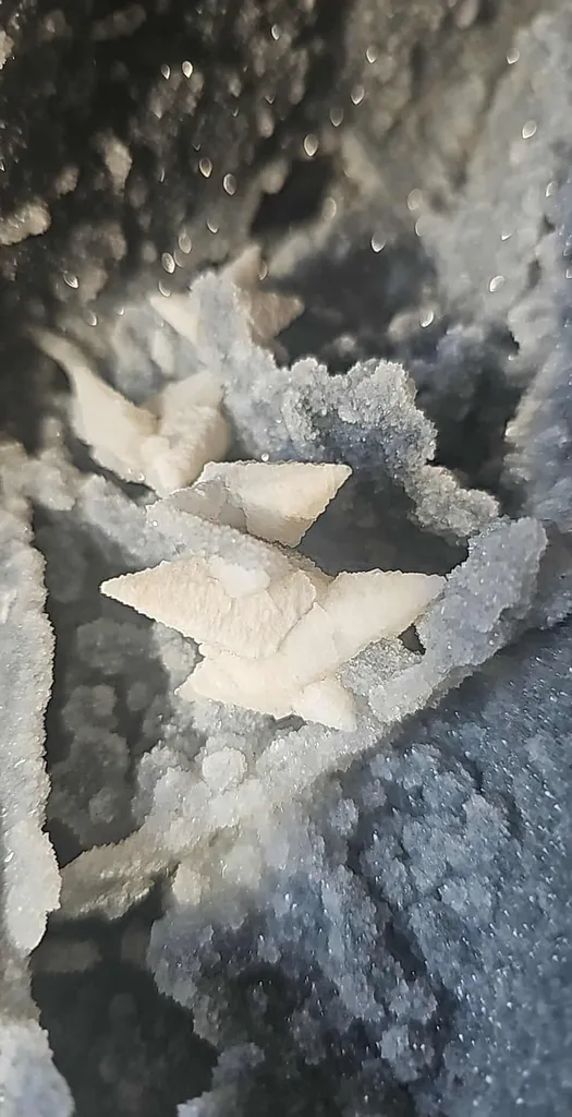 Chalcedony image