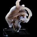 Chalcedony - image 3
