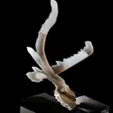 Chalcedony - image 2