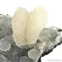 Chalcedony - image 2