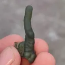 specimen video