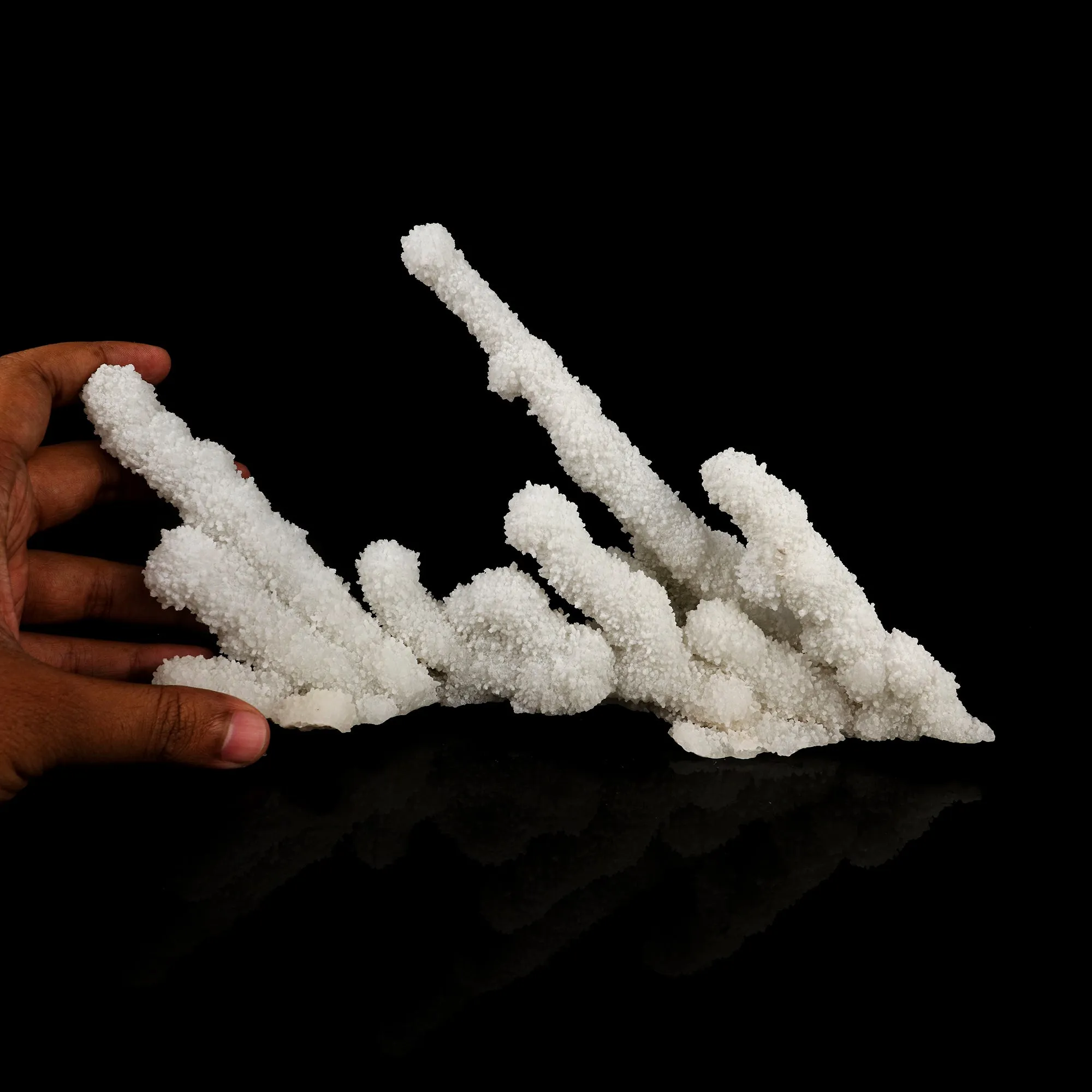 Chalcedony Coral Free Standing Natural Mineral Specimen - image 4