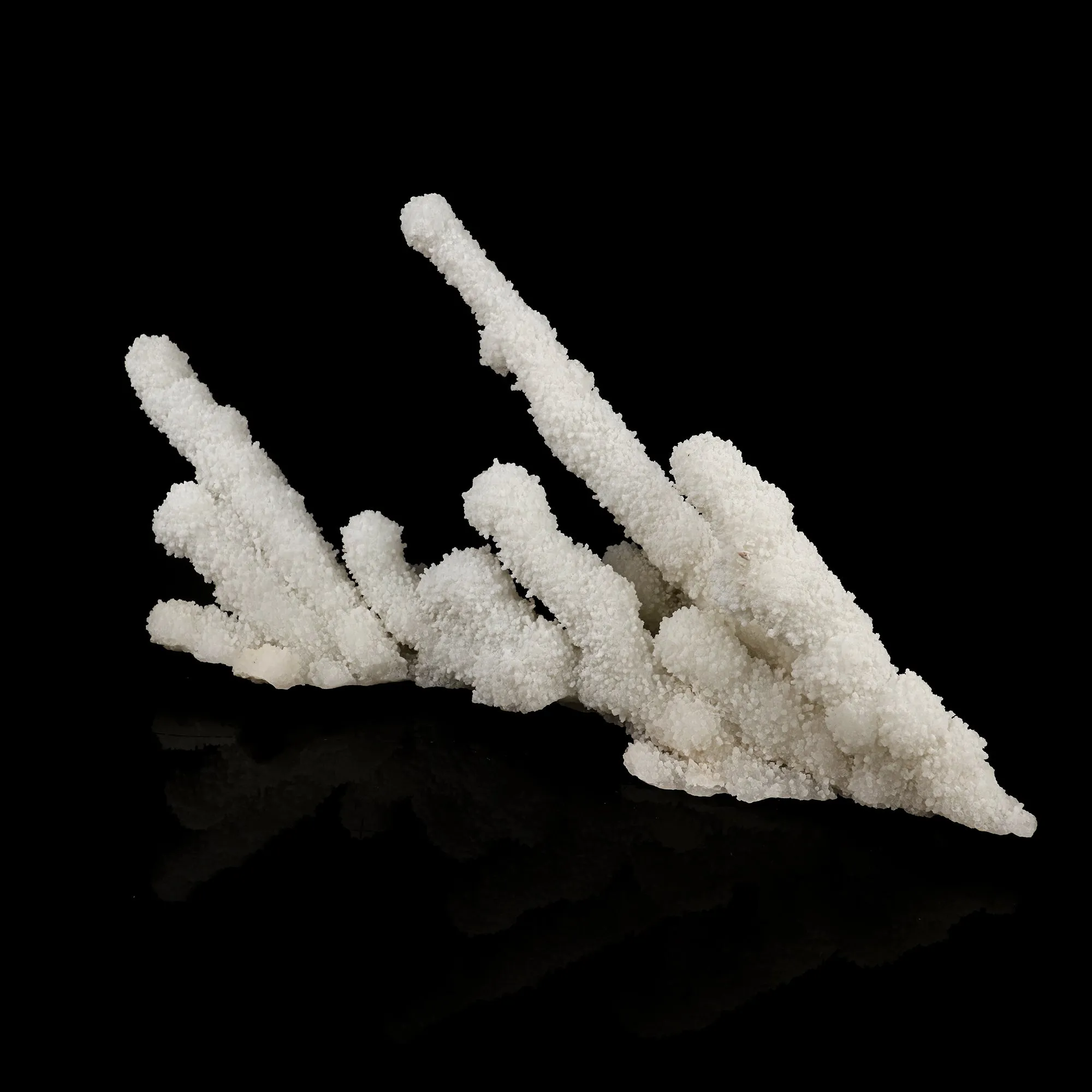 Chalcedony Coral Free Standing Natural Mineral Specimen - image 3