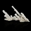 Chalcedony Coral Free Standing Natural Mineral Specimen - image 1