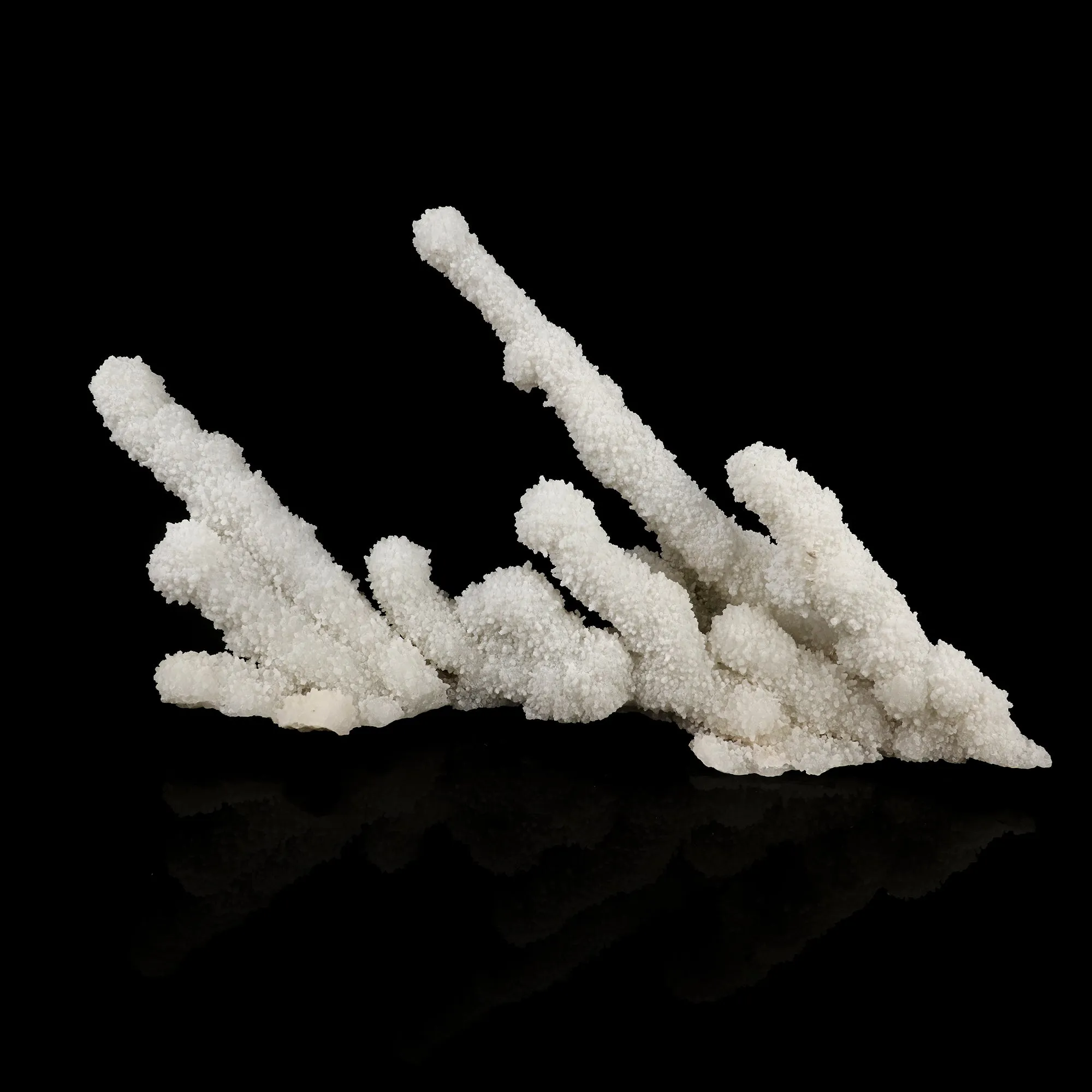 Chalcedony Coral Free Standing Natural Mineral Specimen - image 1