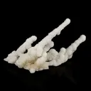 Chalcedony Coral Free Standing Natural Mineral Specimen - image 5