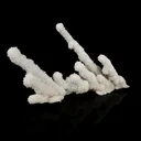 Chalcedony Coral Free Standing Natural Mineral Specimen - image 2