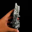 Chalcedony Coral Gemmy Natural Mineral Specimen - image 5