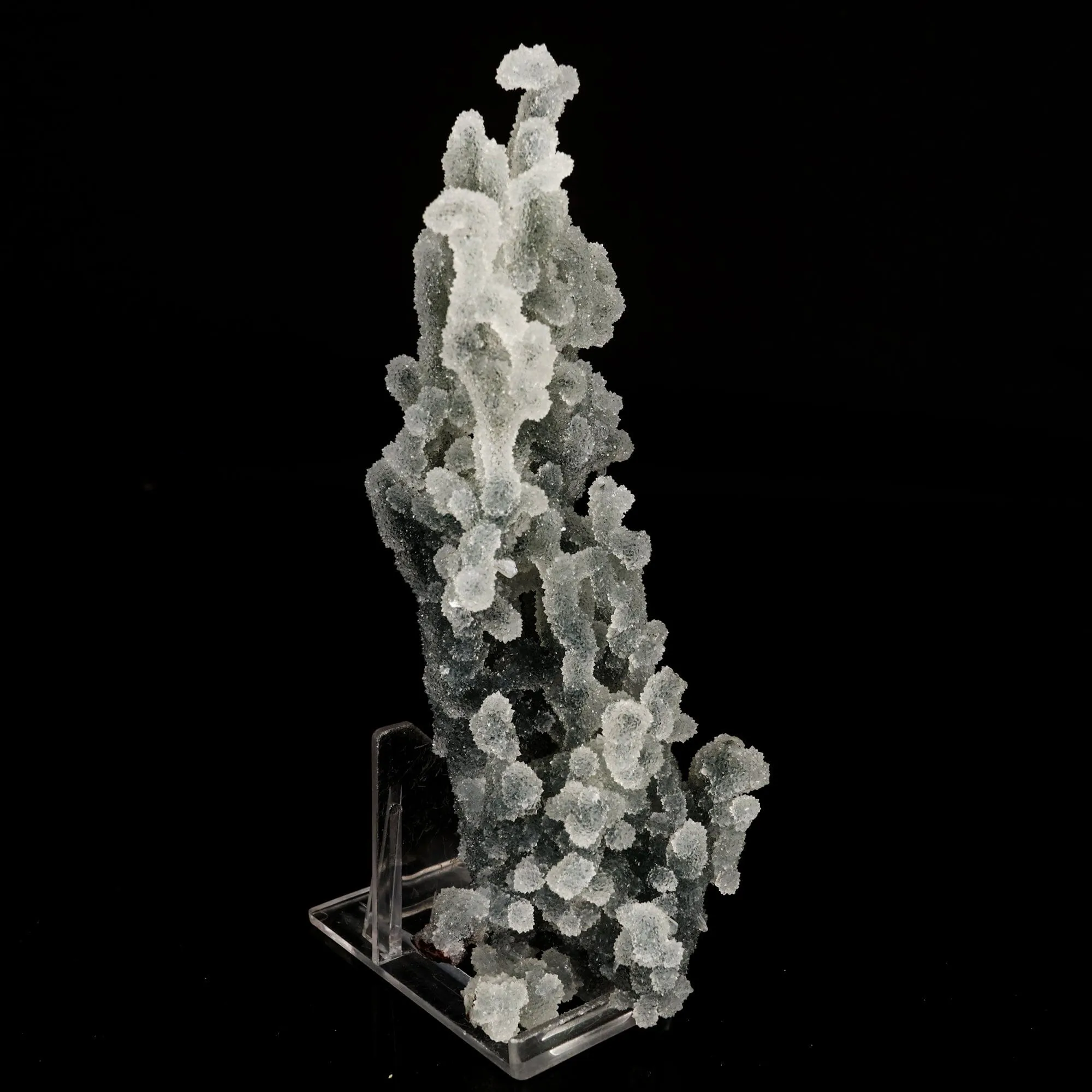 Chalcedony Coral Gemmy Natural Mineral Specimen - image 3