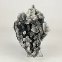 Chalcedony Coral Gemmy Natural Mineral Specimen - image 1