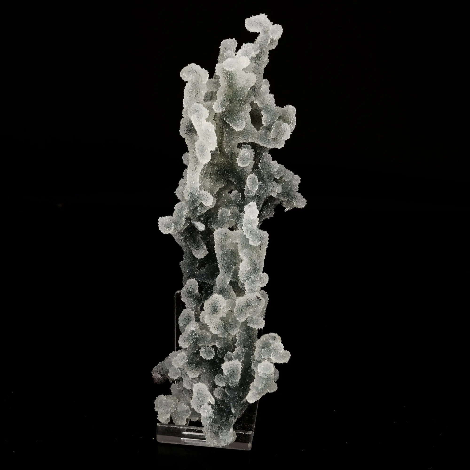 Chalcedony Coral Gemmy Natural Mineral Specimen - image 1