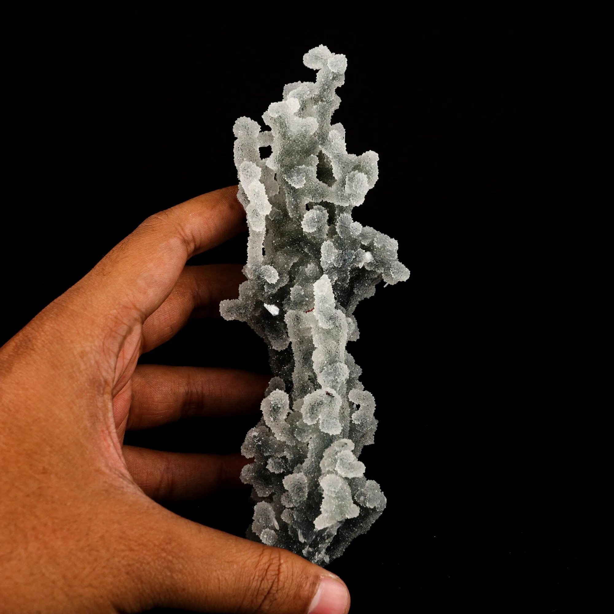 Chalcedony Coral Gemmy Natural Mineral Specimen - image 4