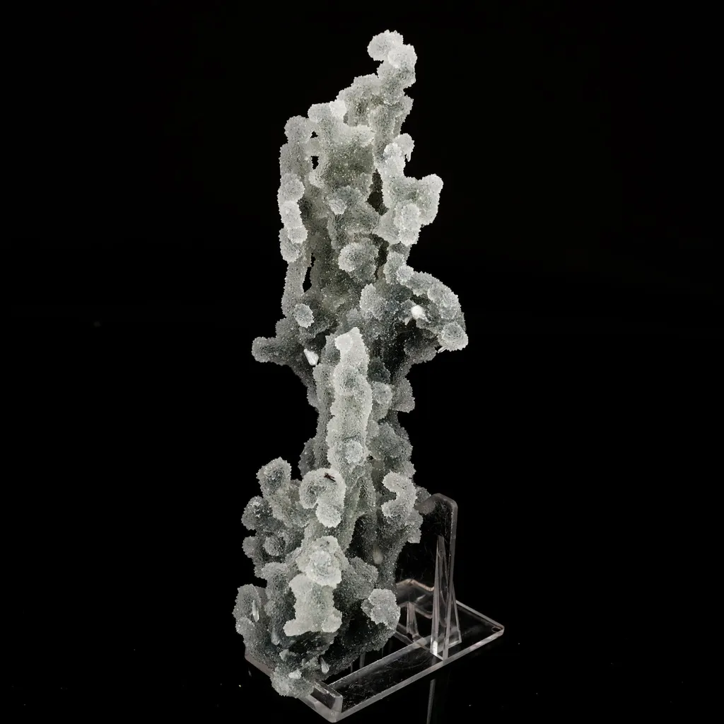 Chalcedony Coral Gemmy Natural Mineral Specimen - image 2