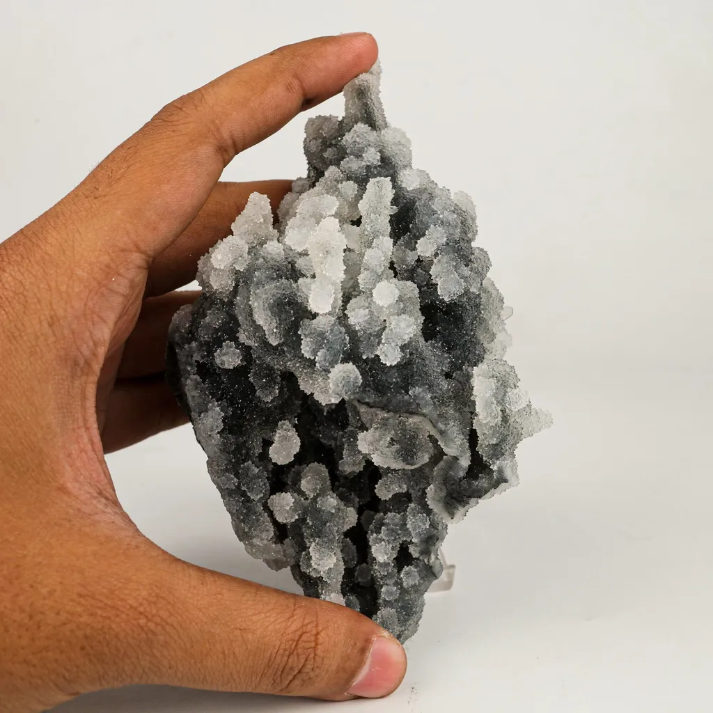 Chalcedony Coral Gemmy Natural Mineral Specimen - image 4