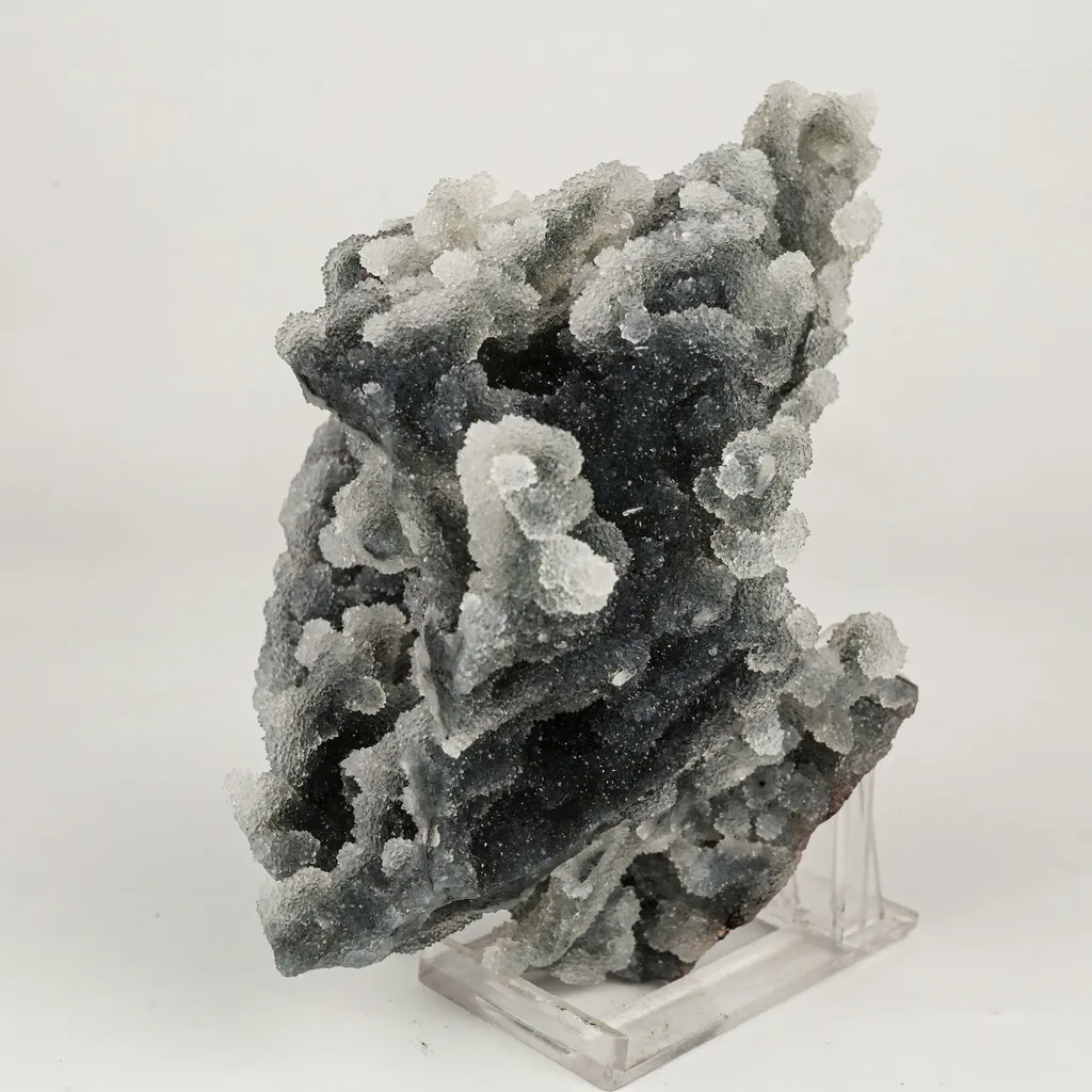 Chalcedony Coral Gemmy Natural Mineral Specimen - image 2