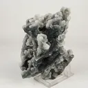 Chalcedony Coral Gemmy Natural Mineral Specimen - image 2