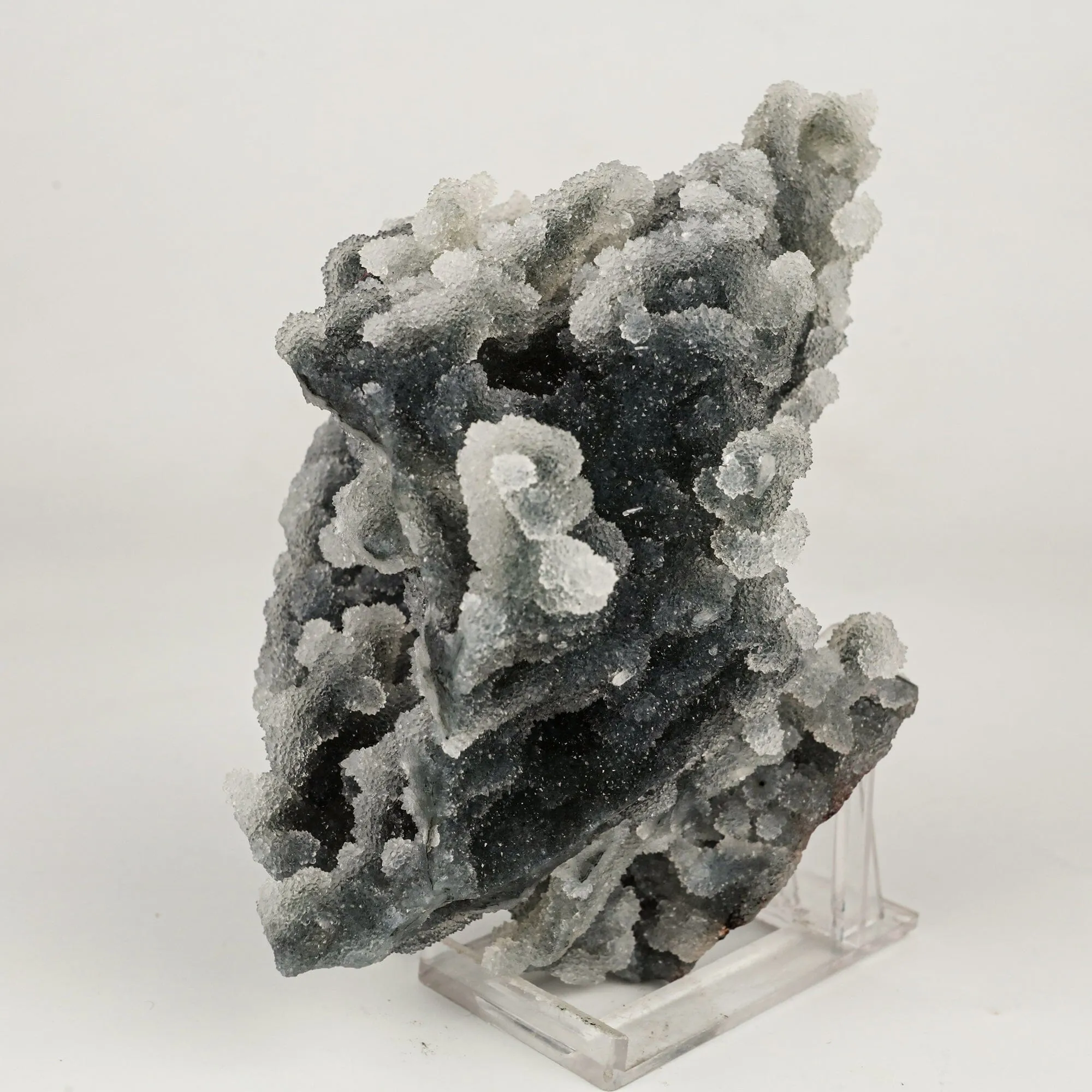 Chalcedony Coral Gemmy Natural Mineral Specimen - image 2