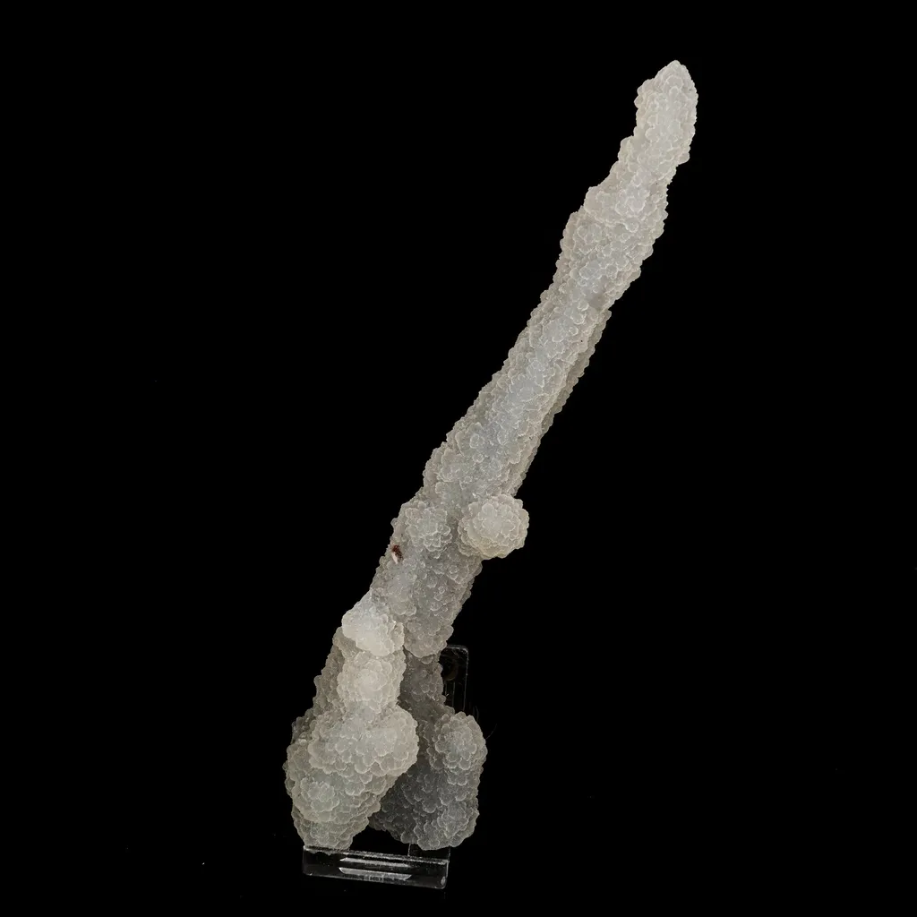Chalcedony Coral Natural Mineral Specimen image