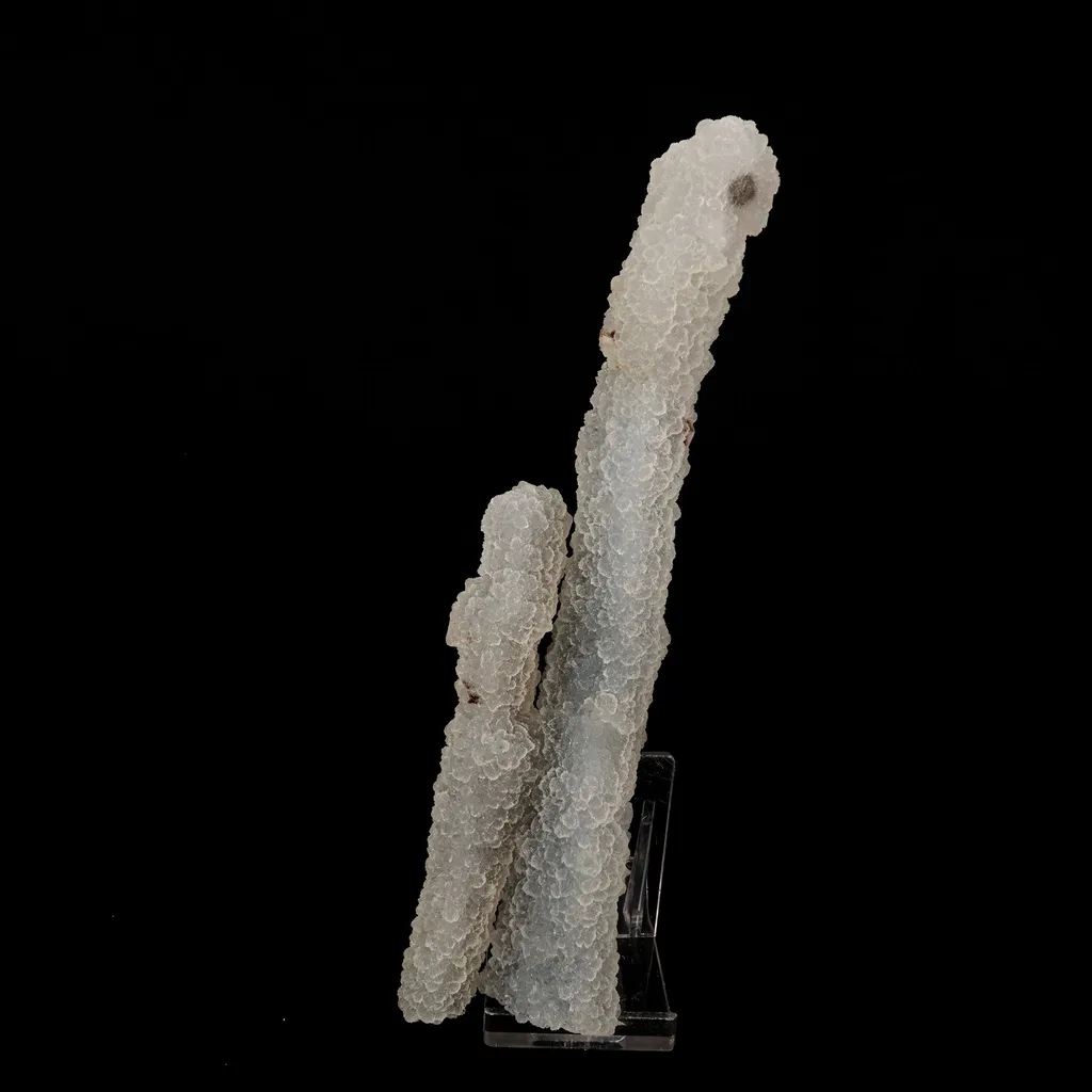 Chalcedony Coral Natural Mineral Specimen image