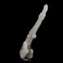 Chalcedony Coral Natural Mineral Specimen - image 1