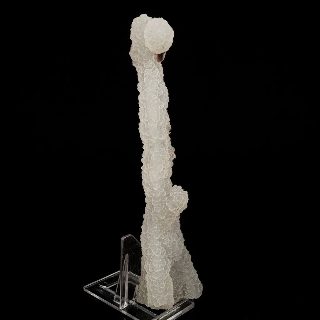 Chalcedony Coral Natural Mineral Specimen - image 2
