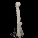 Chalcedony Coral Natural Mineral Specimen - image 2