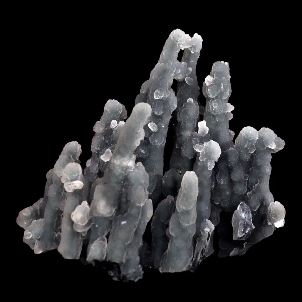 Chalcedony Coral Natural Mineral Specimen image