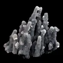 Chalcedony Coral Natural Mineral Specimen - image 1