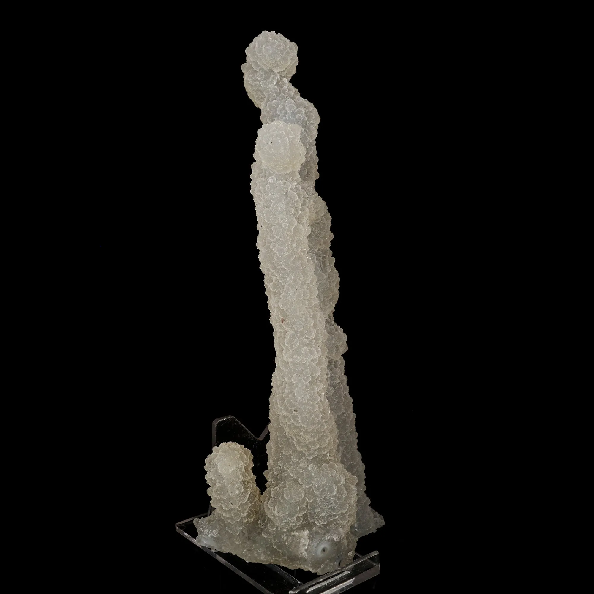 Chalcedony Coral Natural Mineral Specimen - image 3