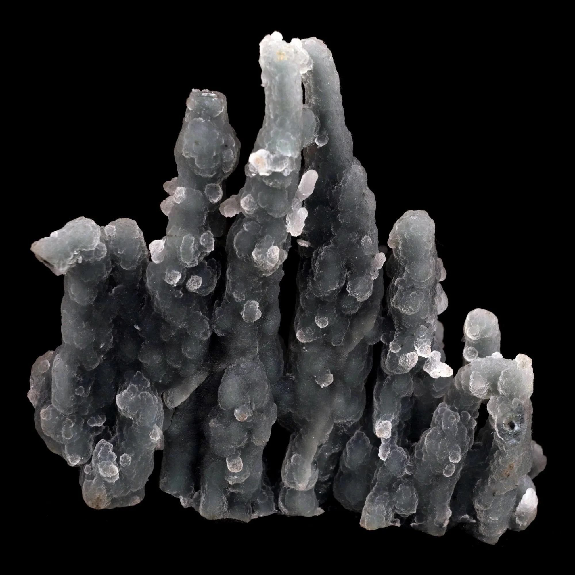 Chalcedony Coral Natural Mineral Specimen - image 5