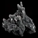 Chalcedony Coral Natural Mineral Specimen - image 2