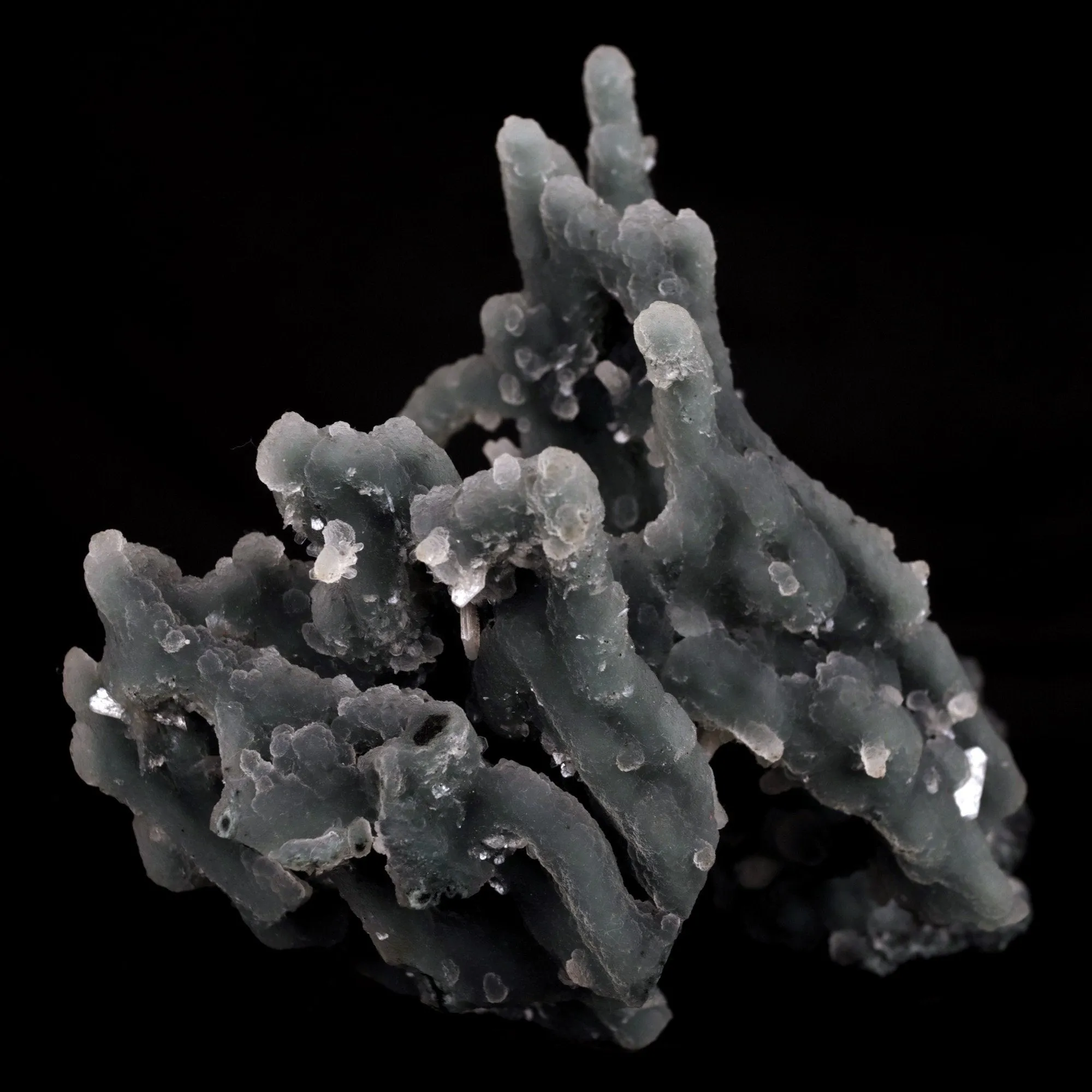 Chalcedony Coral Natural Mineral Specimen - image 2