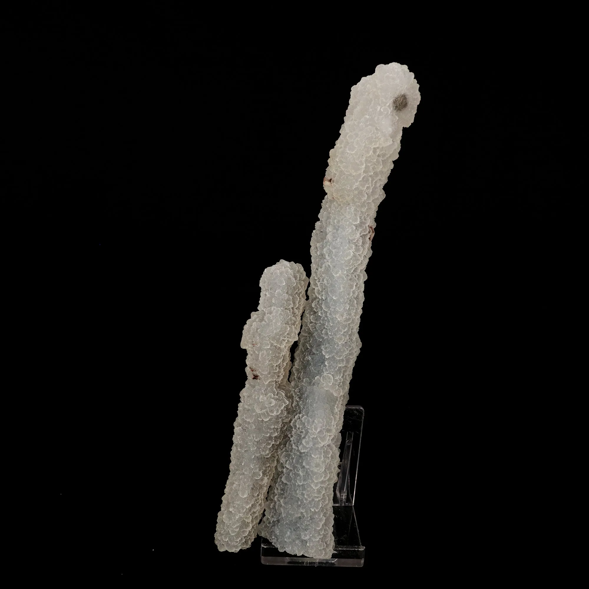 Chalcedony Coral Natural Mineral Specimen - image 1