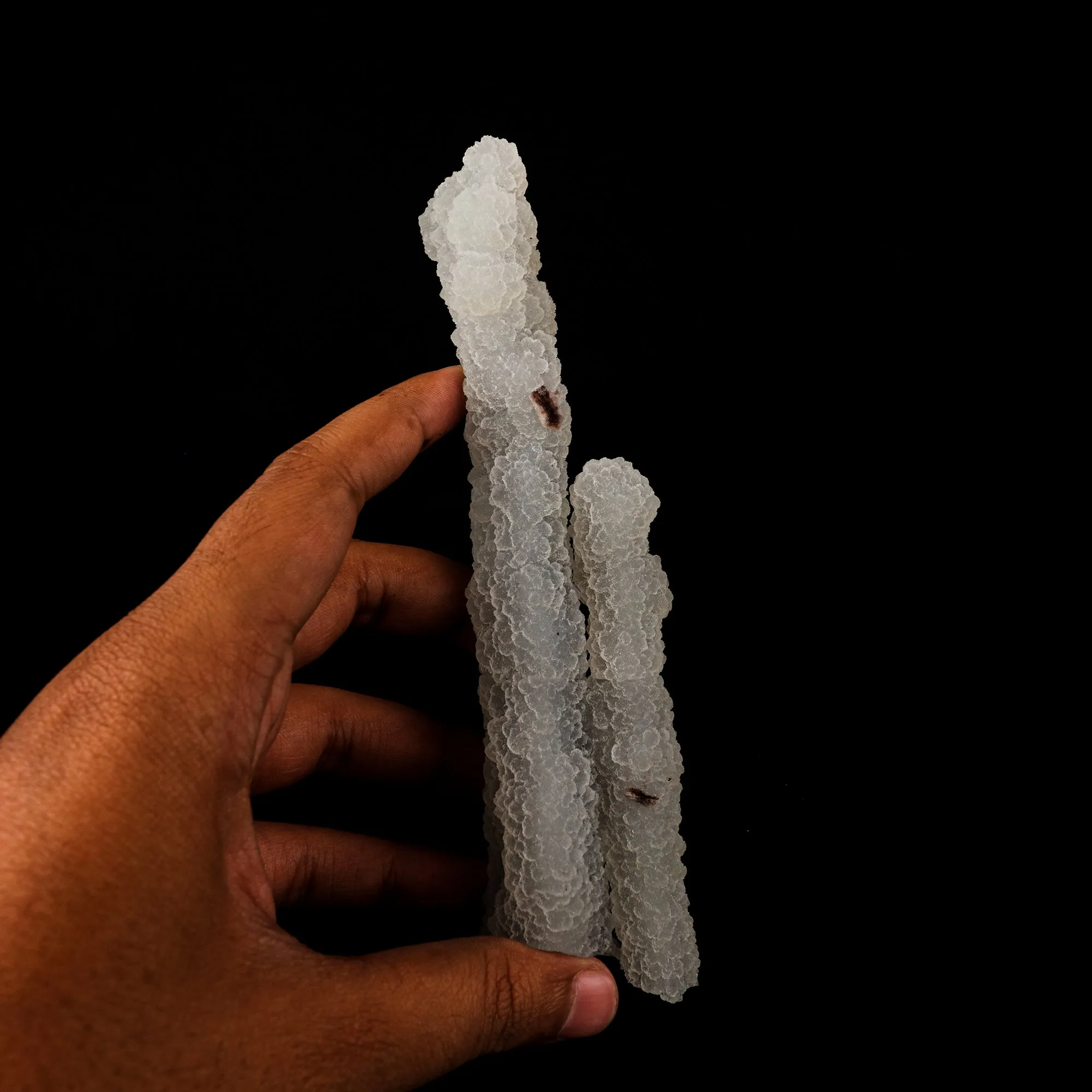 Chalcedony Coral Natural Mineral Specimen - image 5