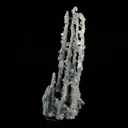 Chalcedony Coral Natural Mineral Specimen - image 2
