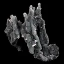 Chalcedony Coral Natural Mineral Specimen - image 1