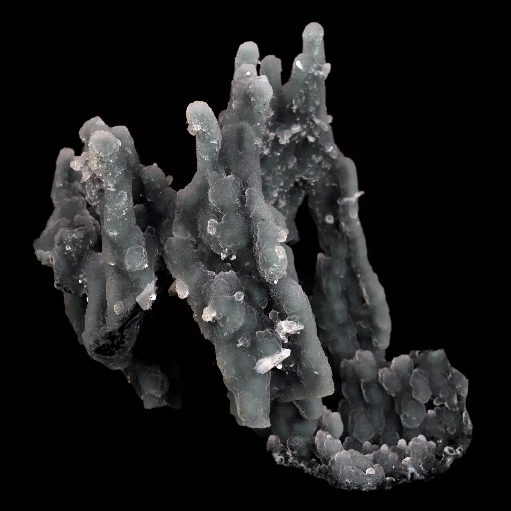 Chalcedony Coral Natural Mineral Specimen - image 1