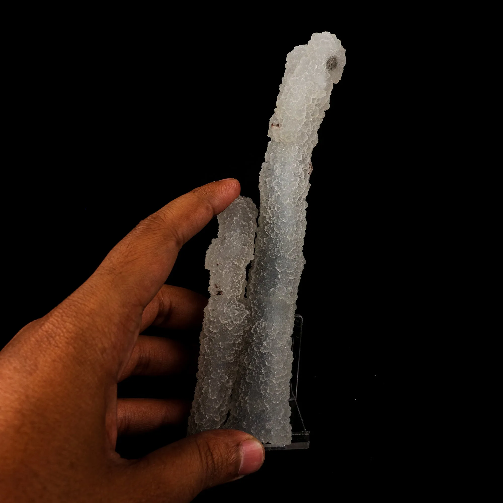 Chalcedony Coral Natural Mineral Specimen - image 4