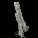 Chalcedony Coral Natural Mineral Specimen - image 3