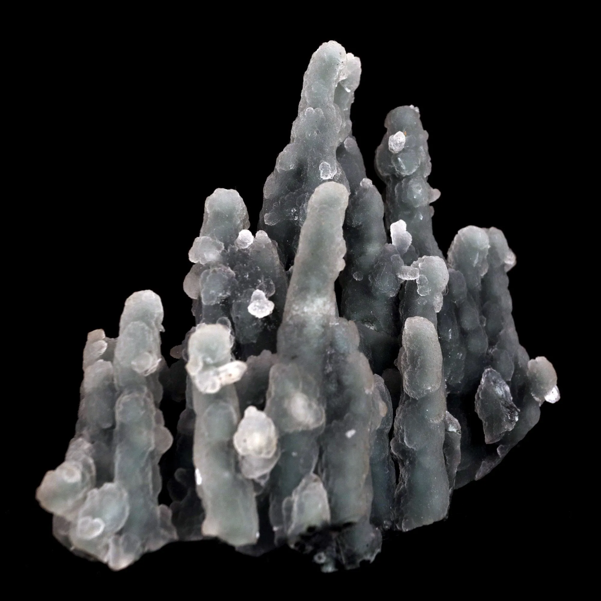 Chalcedony Coral Natural Mineral Specimen - image 2