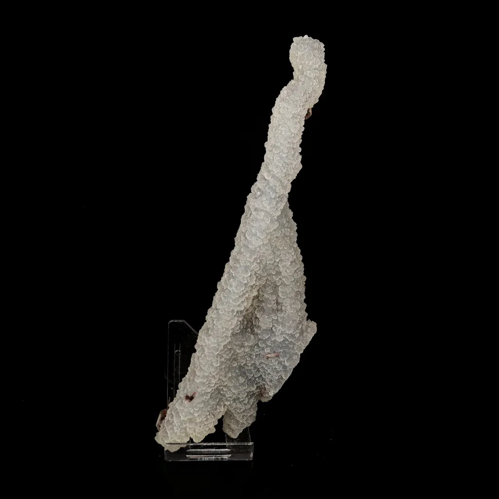 Chalcedony Coral Natural Mineral Specimen image