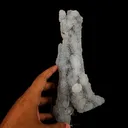 Chalcedony Coral Natural Mineral Specimen - image 4