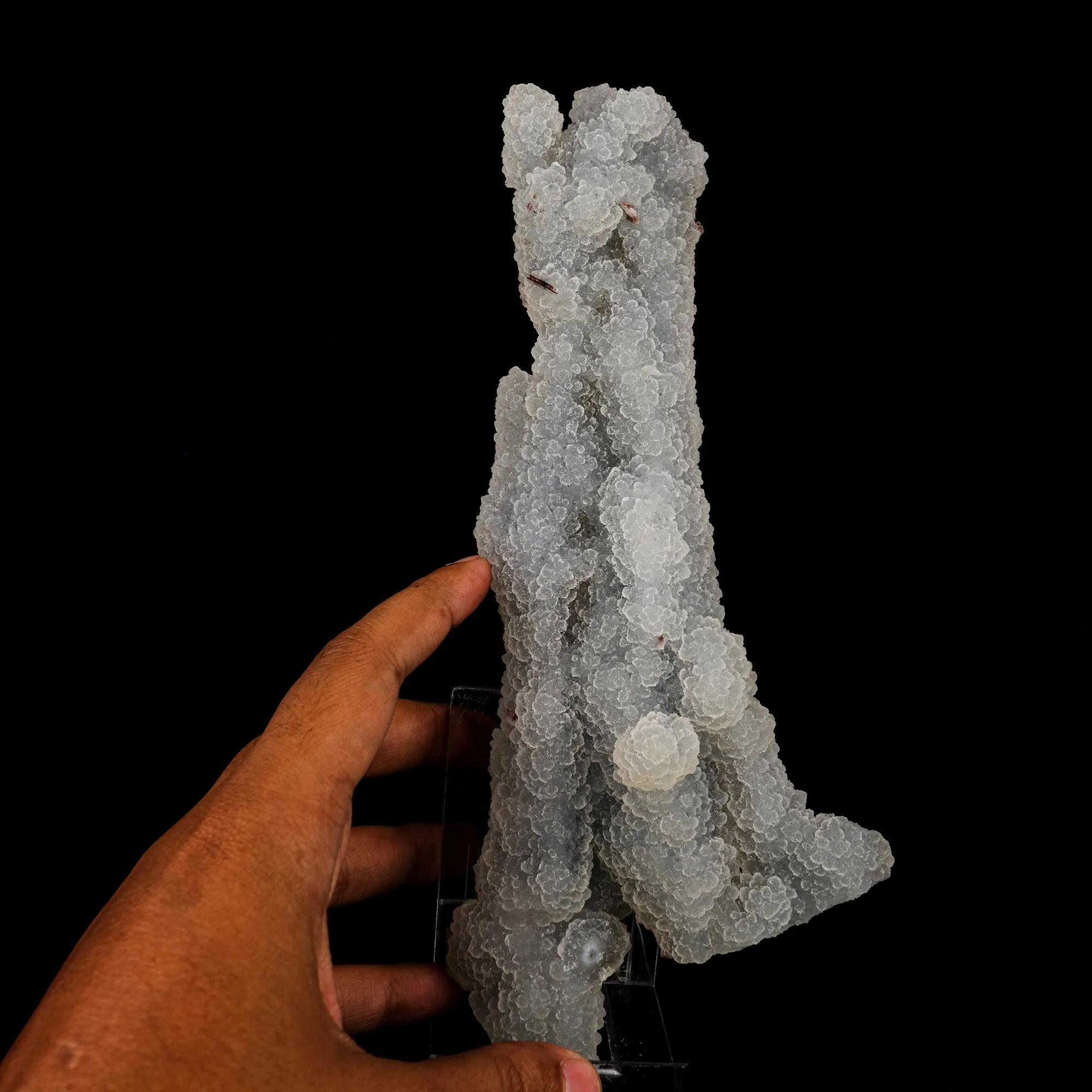 Chalcedony Coral Natural Mineral Specimen - image 4