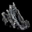 Chalcedony Coral Natural Mineral Specimen - image 3