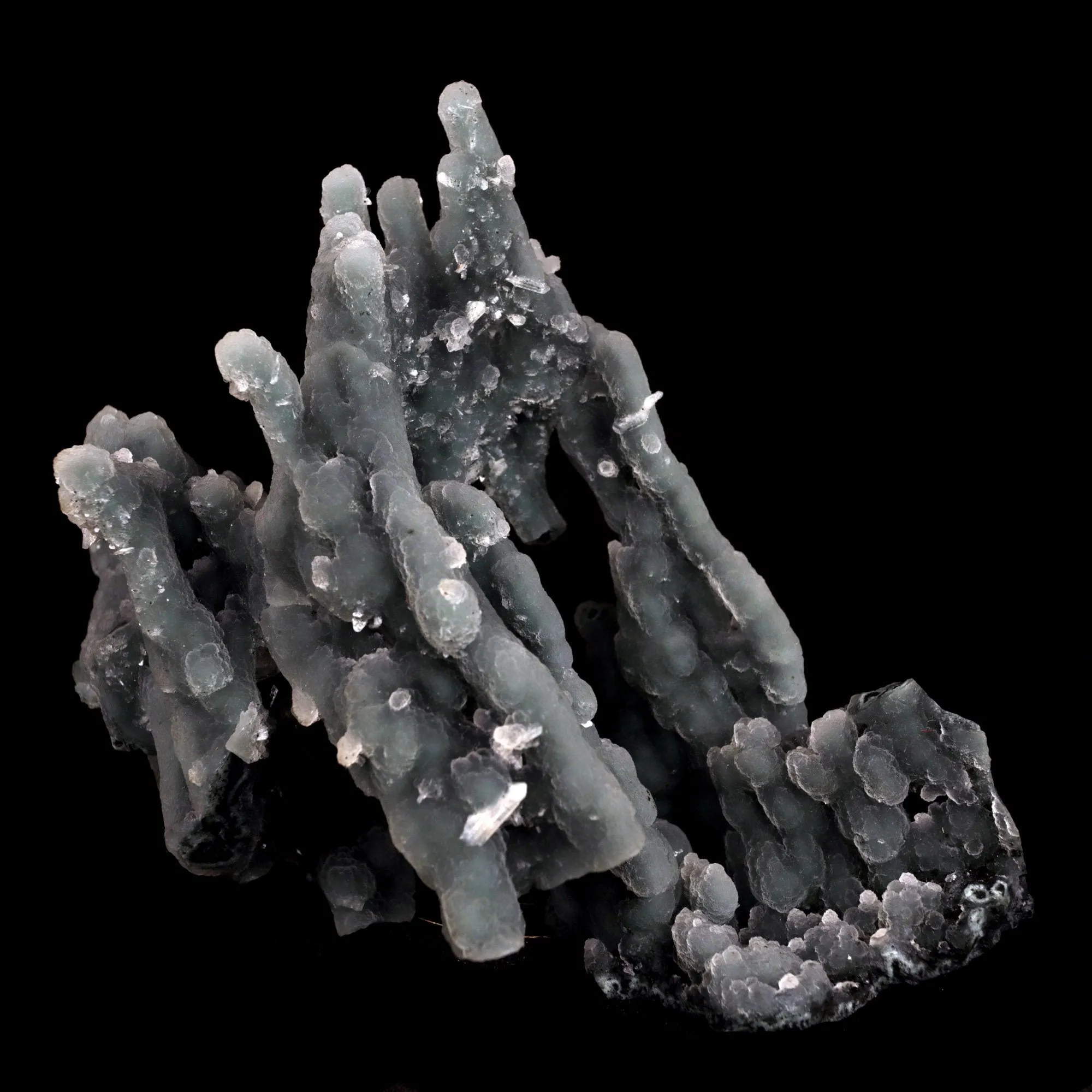 Chalcedony Coral Natural Mineral Specimen - image 3